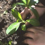 Garden in a Glove: 7 Proven Ways to Avoid Frustrating Hand Fatigue and Thorns