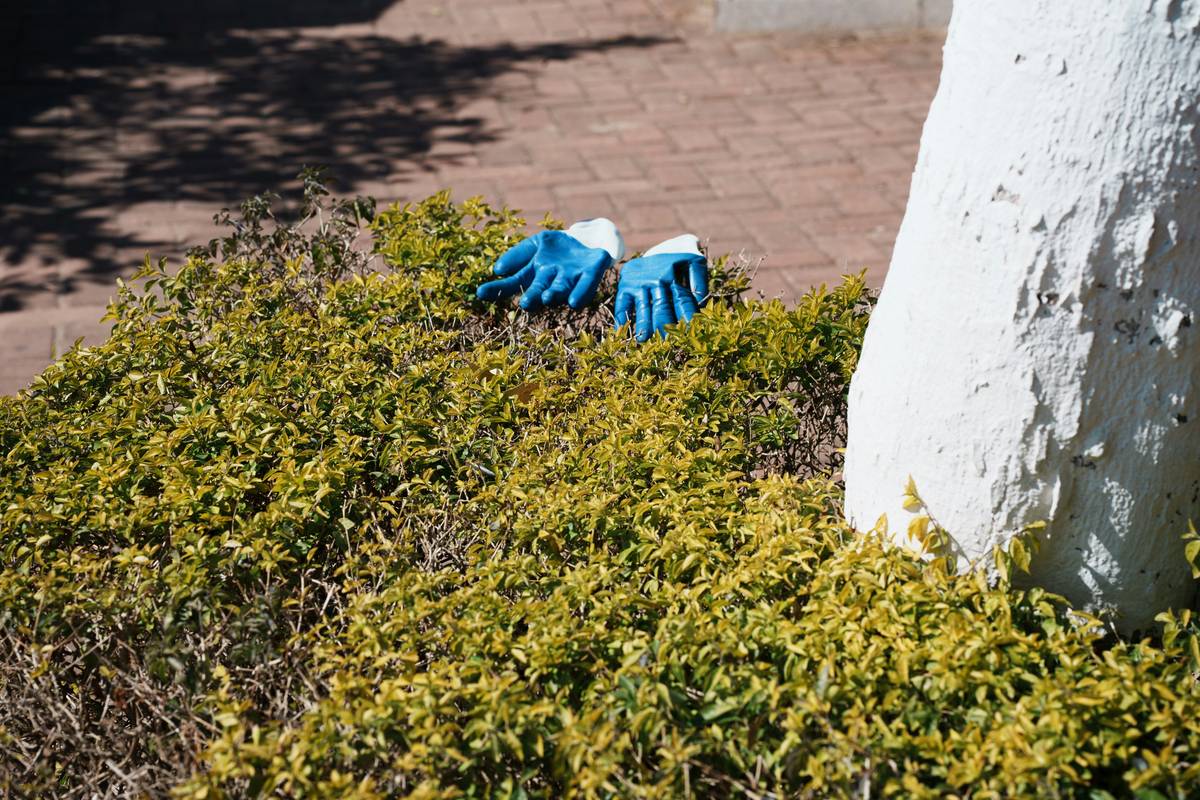 Hand Gloves for Gardening: 7 Proven Tips to Avoid Painful Blunders